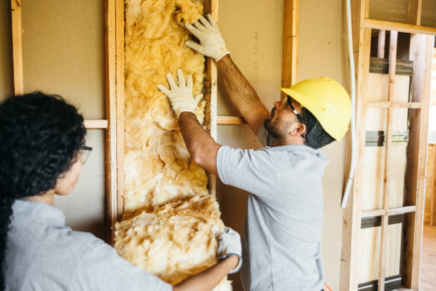 Eco-Friendly or Green Insulation Solutions in University City, MO